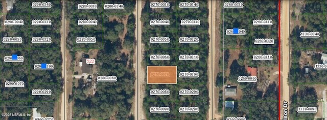 Listing photo 2 for 00 Janet Ave, Interlachen FL 32148