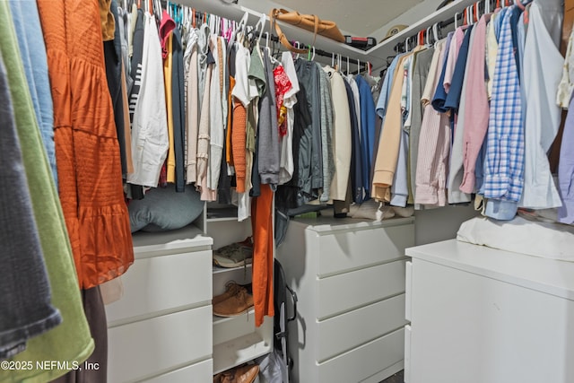 view of spacious closet