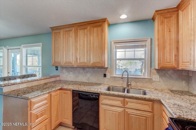 kitchen with a sink, plenty of natural light, black dishwasher, and light stone countertops