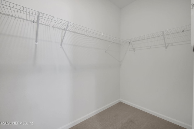 44 Martos Ct, Saint Augustine, FL 32095 - photo 22
