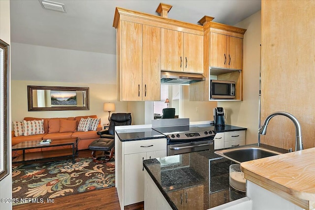 kitchen featuring visible vents, a sink, dark wood-type flooring, appliances with stainless steel finishes, and exhaust hood