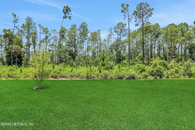 251 Pinzon Pl, Saint Augustine, FL 32095 - view of grassy yard