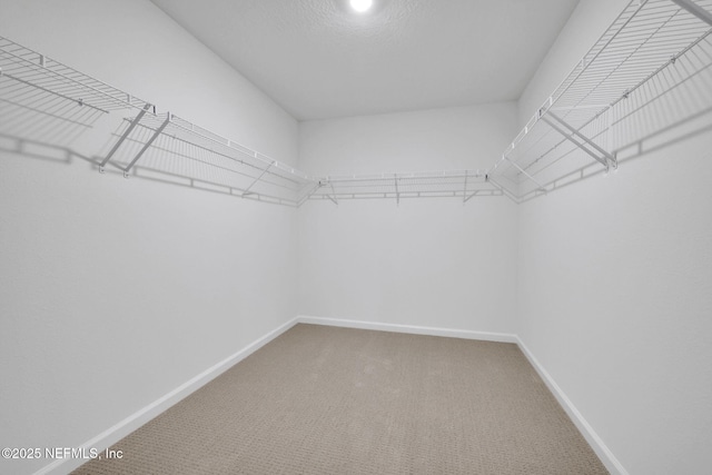 251 Pinzon Pl, Saint Augustine, FL 32095 - spacious closet featuring carpet floors