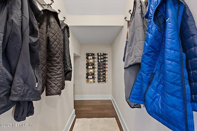 spacious closet featuring wood finished floors