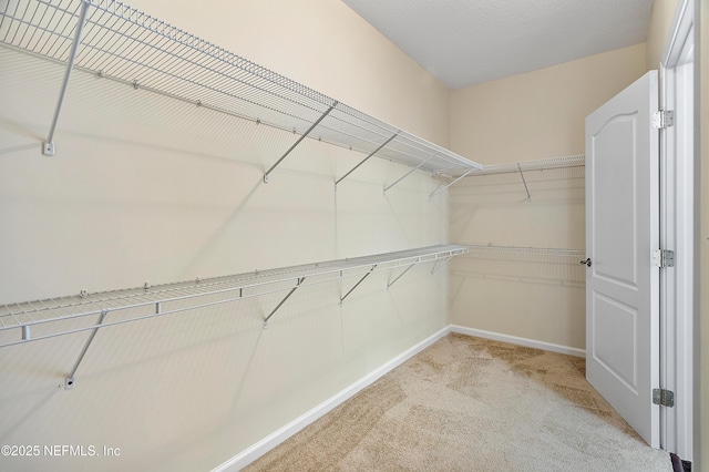 spacious closet with light colored carpet