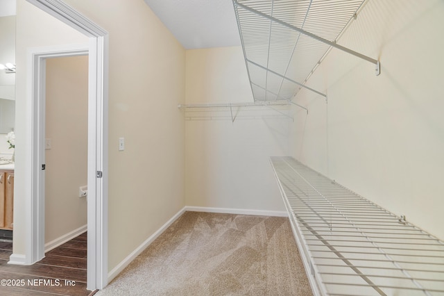 spacious closet with carpet flooring