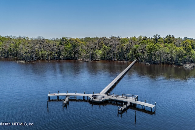 dock area with a water view