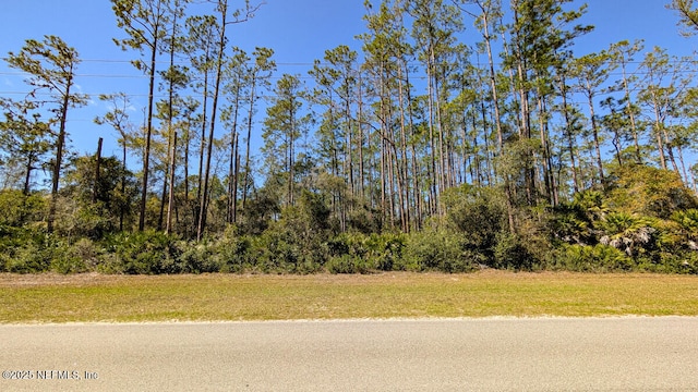 129 Whispering Pines Rd, Georgetown FL, 32139 land for sale