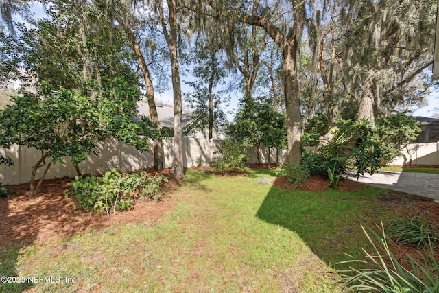 view of yard with a patio area and a fenced backyard