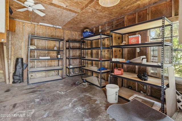 storage with a ceiling fan