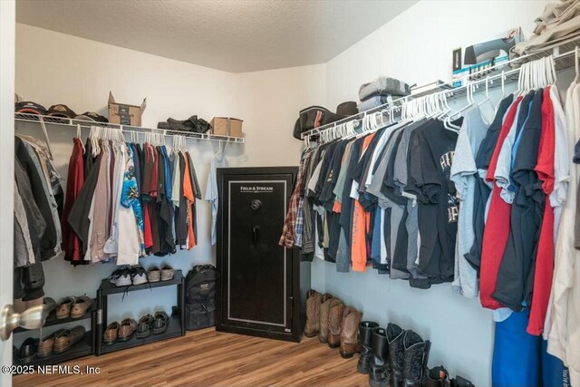 walk in closet featuring wood finished floors