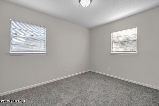 spare room with plenty of natural light, carpet flooring, a textured ceiling, and baseboards