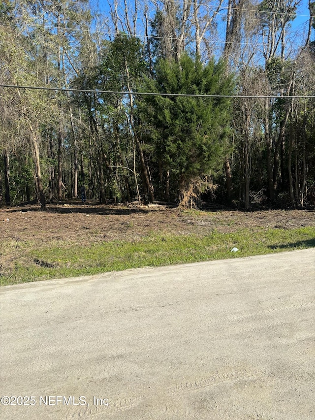 104 Bowfin Dr, Palatka, FL 32177 - photo 1