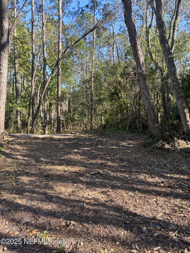 104 Bowfin Dr, Palatka, FL 32177 - photo 3