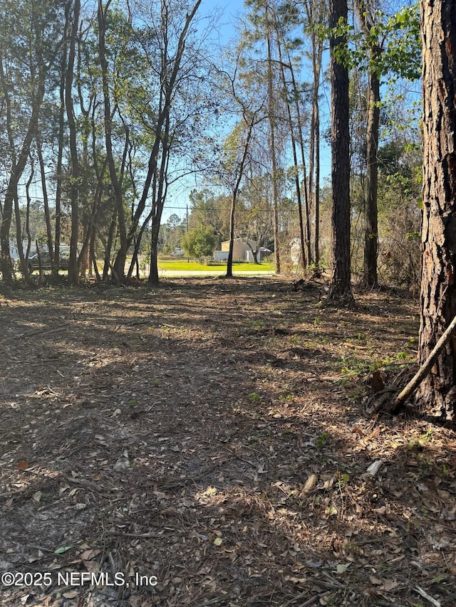 104 Bowfin Dr, Palatka, FL 32177 - photo 2