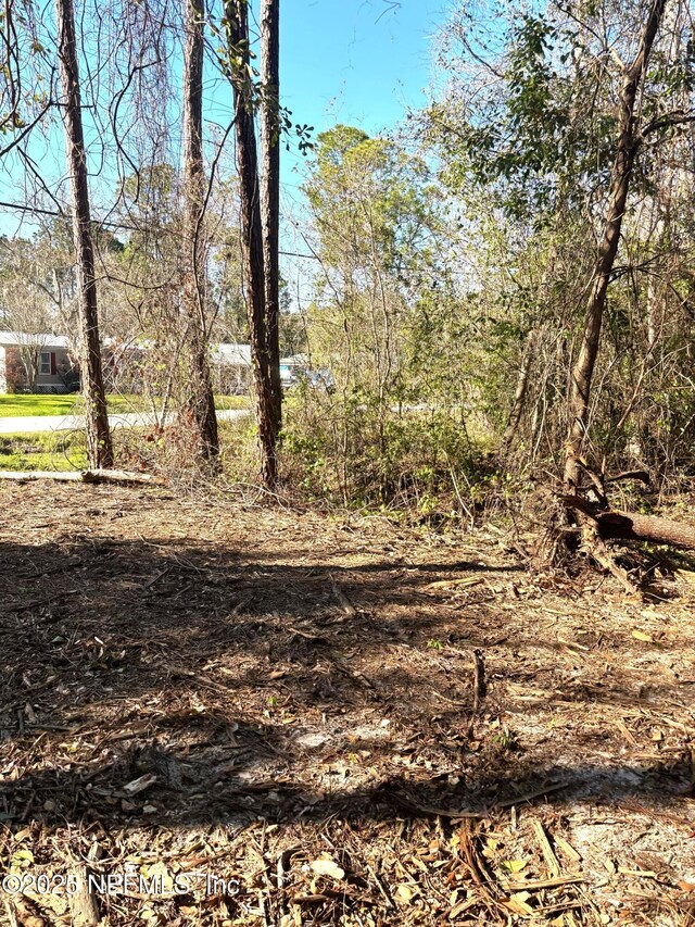 104 Bowfin Dr, Palatka, FL 32177 - photo 4