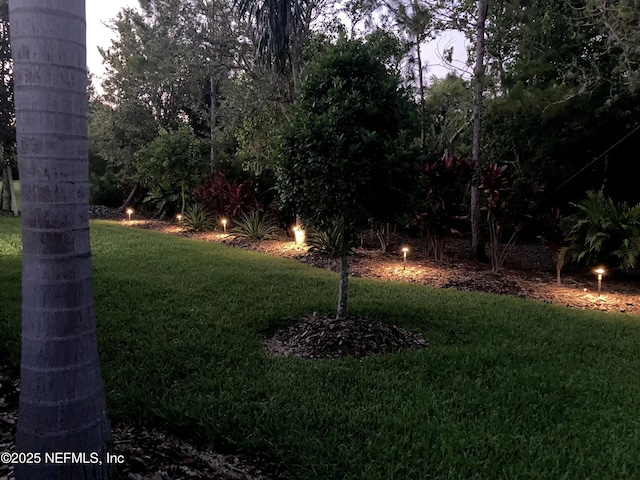 10030 Craftsman Park Way, Palmetto, FL 34221 - view of green lawn