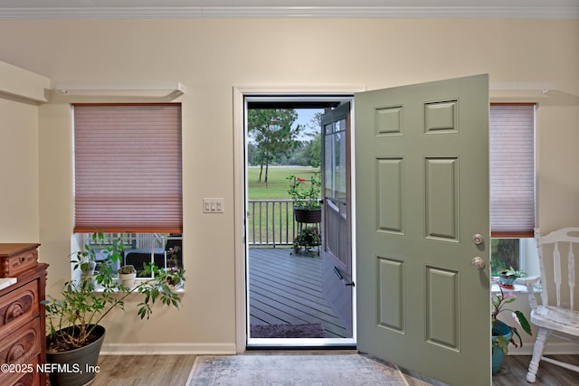 foyer with crown molding, plenty of natural light, wood finished floors, and baseboards