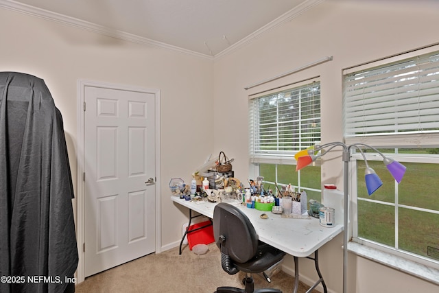 carpeted home office featuring baseboards and crown molding