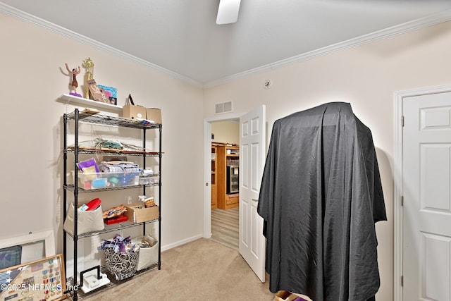 interior space with light colored carpet and visible vents