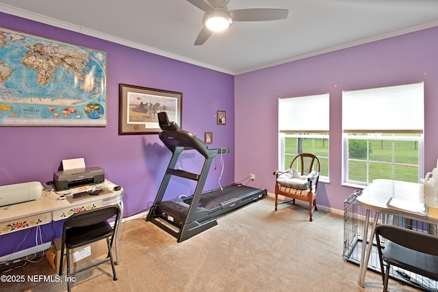 exercise area with carpet flooring, ceiling fan, baseboards, and ornamental molding