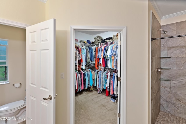 walk in closet featuring carpet floors