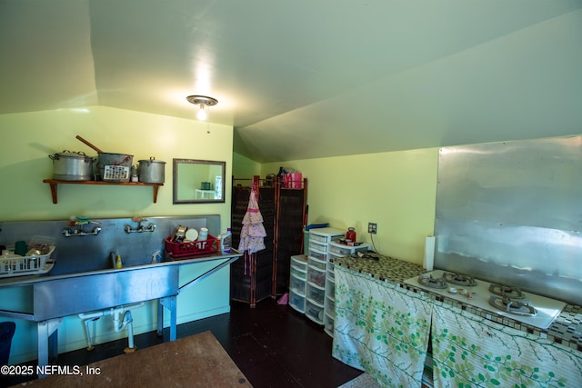 kitchen featuring wood finished floors and vaulted ceiling