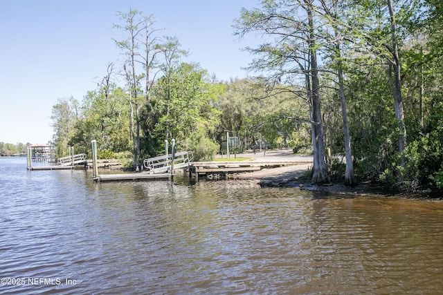 4645 Tara Woods Dr E, Jacksonville, FL 32210 - photo 34