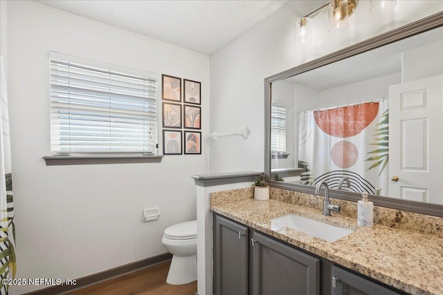 full bath featuring toilet, a healthy amount of sunlight, vanity, and a textured ceiling