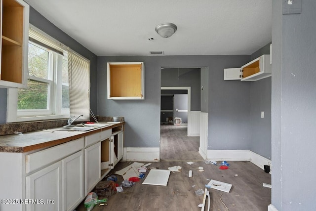 kitchen featuring wood finished floors, visible vents, baseboards, a sink, and white cabinetry