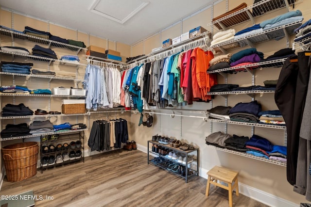 spacious closet featuring attic access and wood finished floors