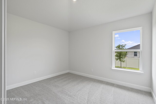 3377 Meadow Ridge Pl, Green Cove Springs, FL 32043 - photo 17