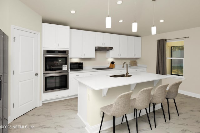 kitchen with under cabinet range hood, marble finish floor, stainless steel appliances, and a sink