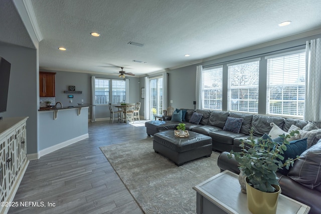 living area featuring wood finished floors, baseboards, ceiling fan, a textured ceiling, and crown molding