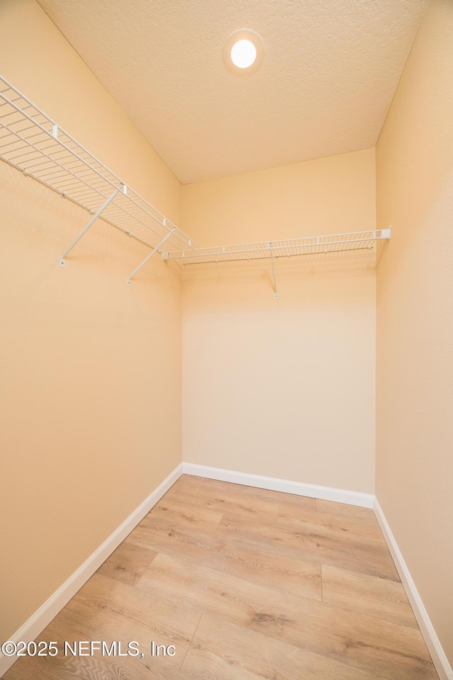 walk in closet featuring light wood-type flooring