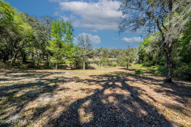 view of yard featuring a wooded view