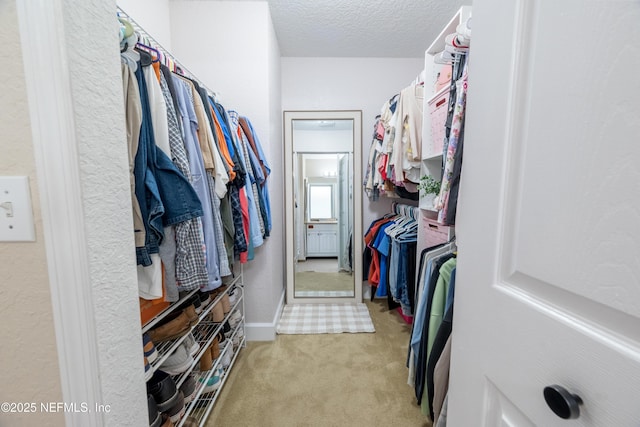 walk in closet with light carpet