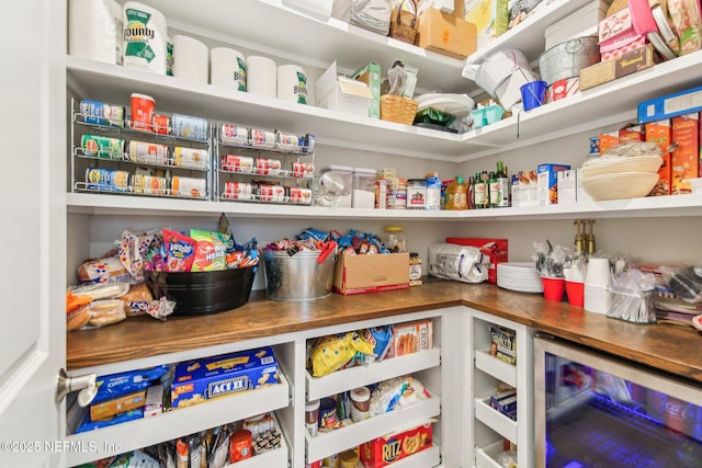 83 Village Grande Dr, Ponte Vedra, FL 32081 - storage area with wine cooler