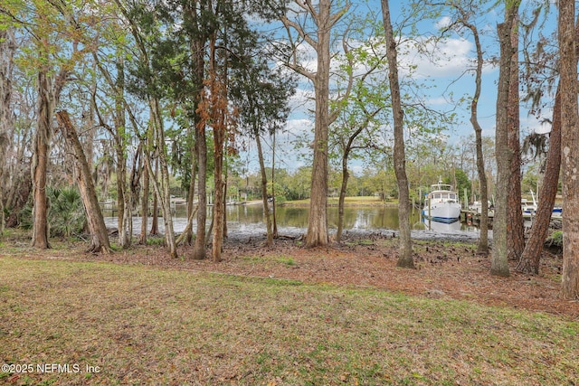 5400 La Moya Ave Unit 16, Jacksonville, FL 32210 - view of yard with a water view and a boat dock