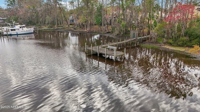 5400 La Moya Ave Unit 16, Jacksonville, FL 32210 - dock area with a water view
