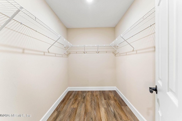 walk in closet featuring wood finished floors