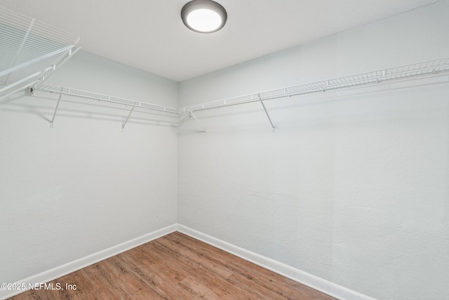 walk in closet with wood finished floors