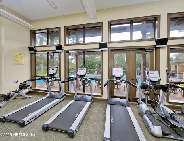 exercise room featuring a high ceiling, carpet, and french doors