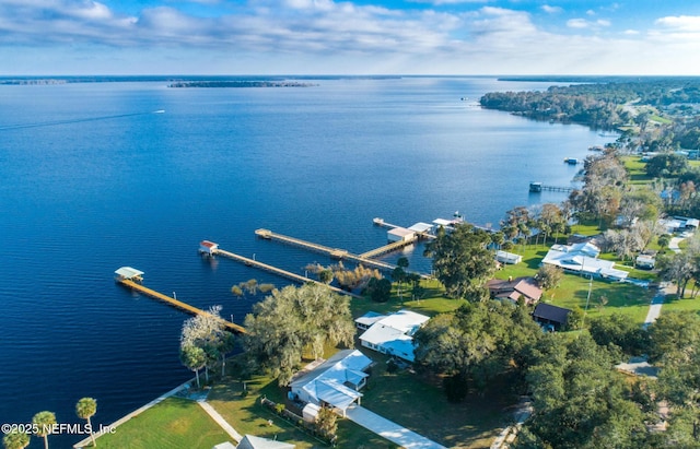 bird's eye view with a water view