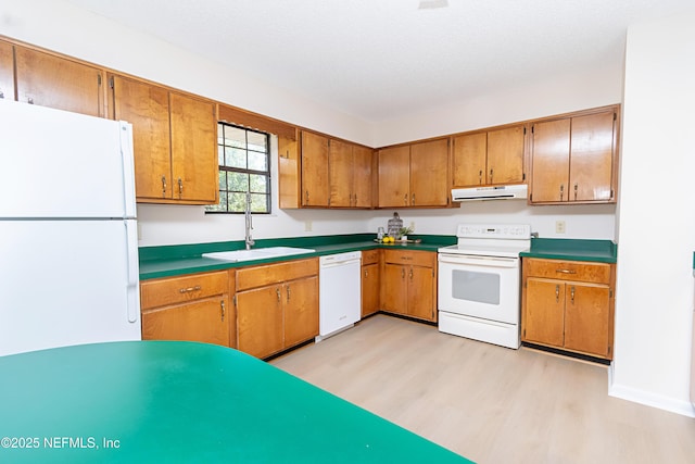 kitchen with under cabinet range hood, brown cabinets, light wood-style floors, white appliances, and a sink