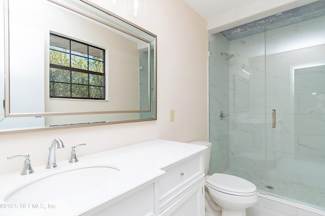 bathroom featuring vanity, toilet, and a stall shower