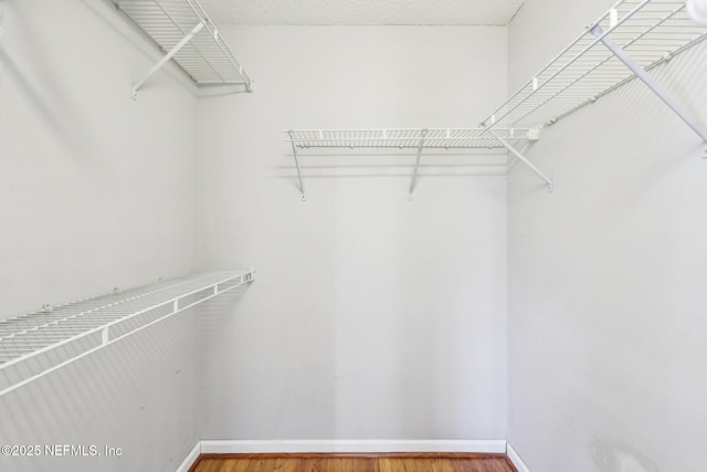 spacious closet with wood finished floors