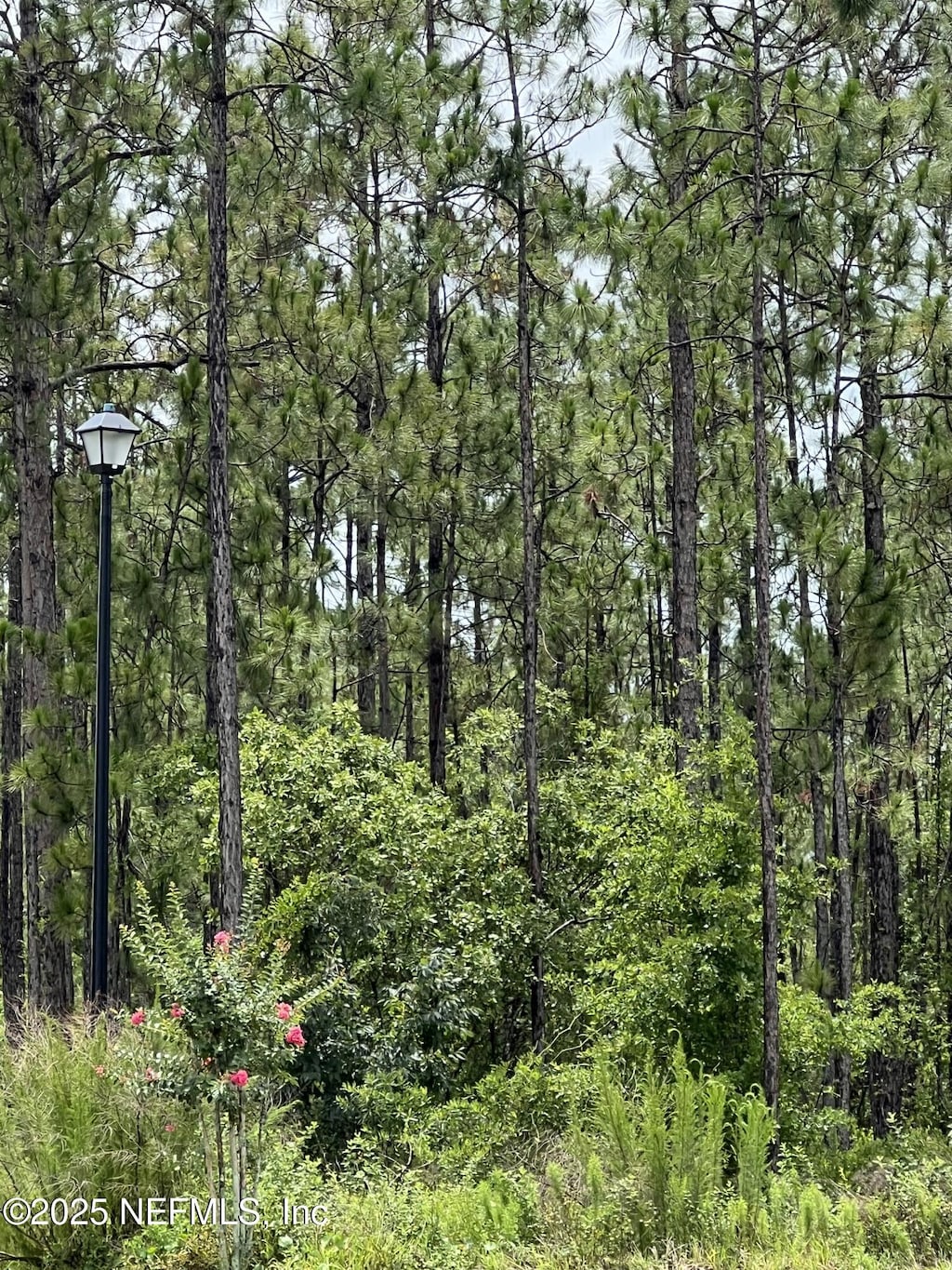 00 Royal Pines Dr, Middleburg, FL 32068 - photo 1