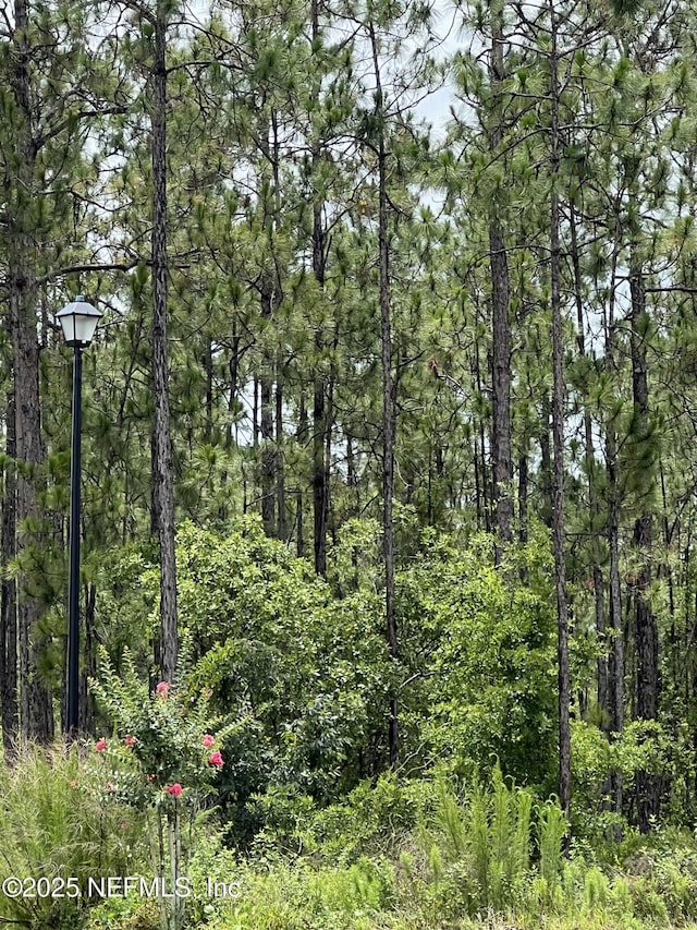 00 Royal Pines Dr, Middleburg, FL 32068