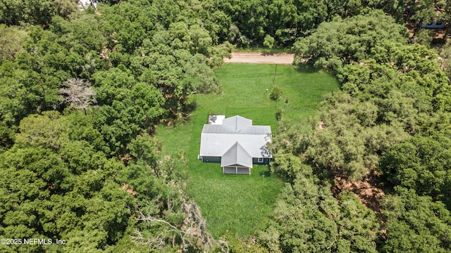 207 Palmetto Ave N, Florahome, FL 32140 - view from above of property